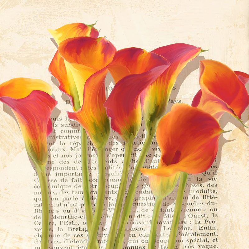 Histoires de Callas (detail) art print by Luca Villa for $57.95 CAD
