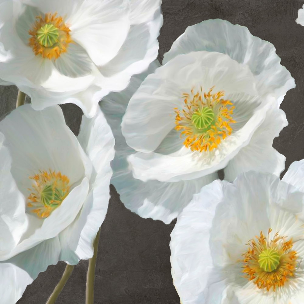 Poppies on Chalkboard I art print by Leonardo Sanna for $57.95 CAD