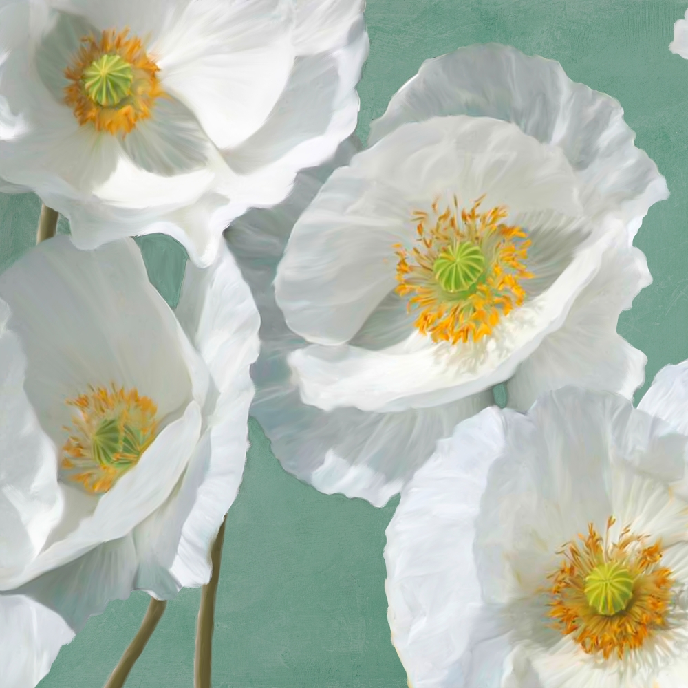Poppies on Mint I art print by Leonardo Sanna for $57.95 CAD