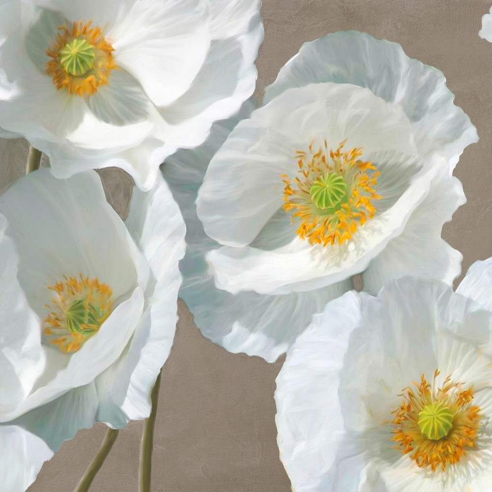Poppies on Taupe I art print by Leonardo Sanna for $57.95 CAD