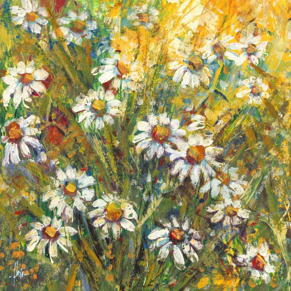 Margherite nel sole art print by Luigi Florio for $57.95 CAD