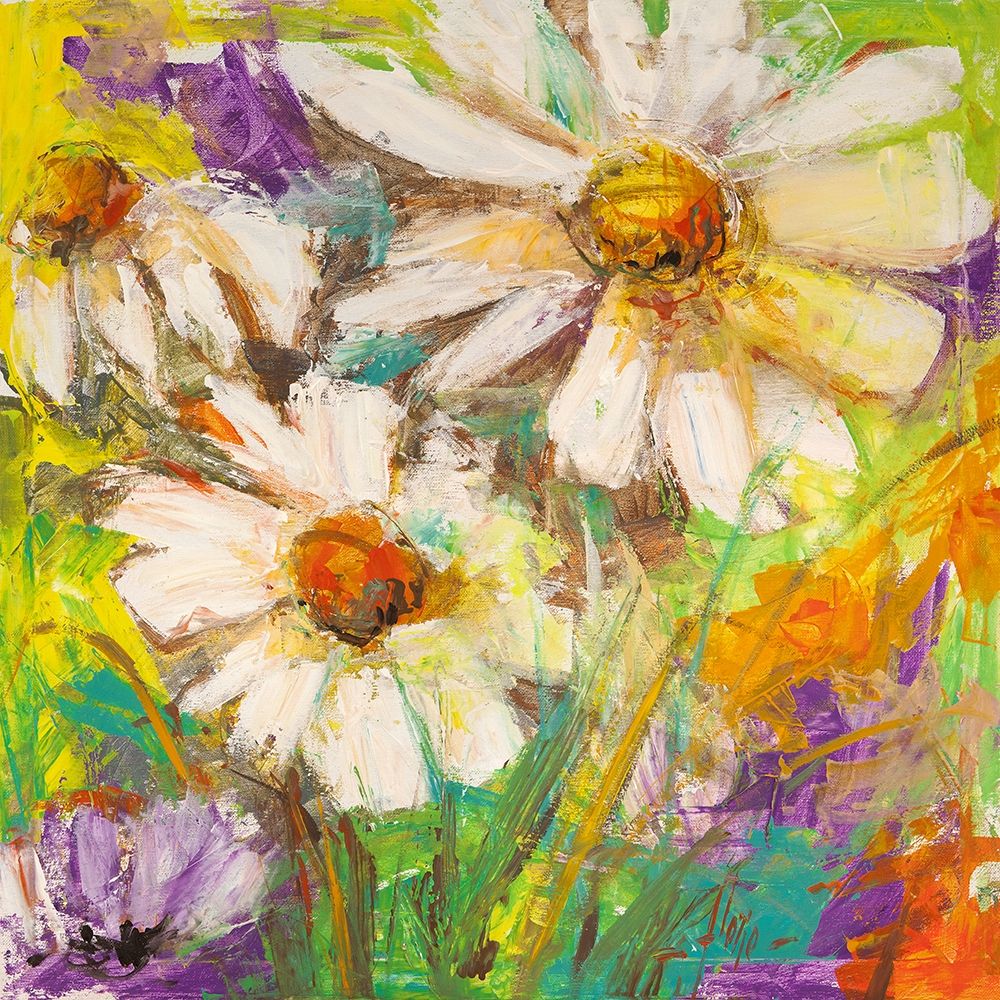 Margherite in fiore art print by Luigi Florio for $57.95 CAD