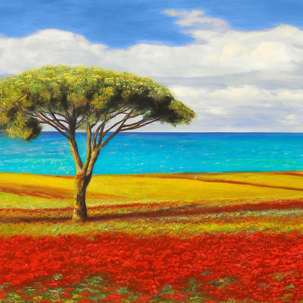 Mediterraneo I art print by Angelo Masera for $57.95 CAD