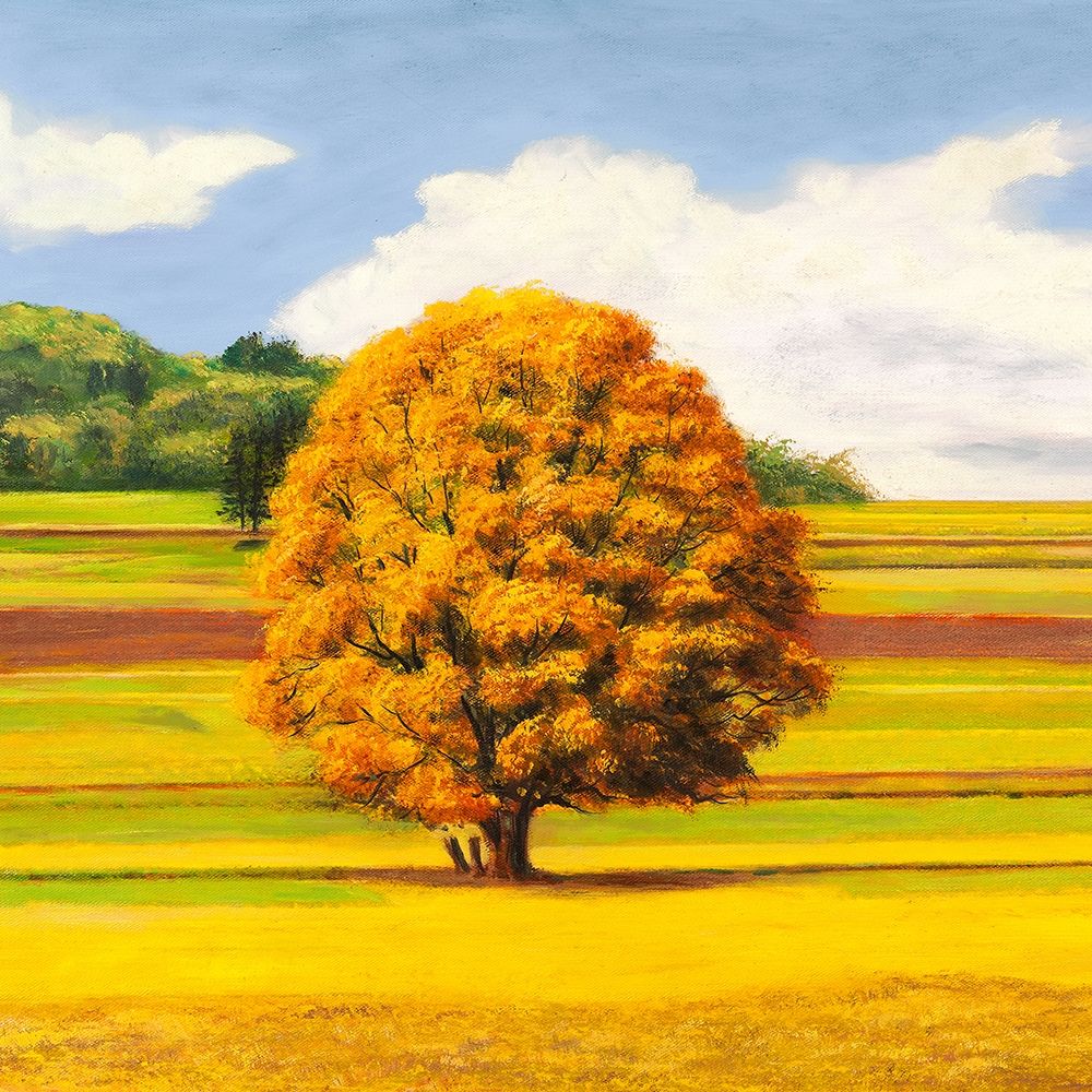 Pianure serene I (detail) art print by Angelo Masera for $57.95 CAD