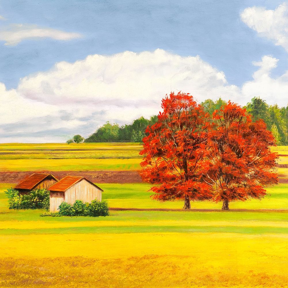 Pianure serene II (detail) art print by Angelo Masera for $57.95 CAD