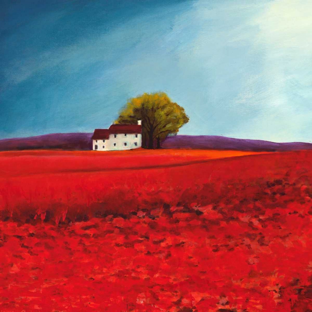 Field of poppies art print by Philip Bloom for $57.95 CAD