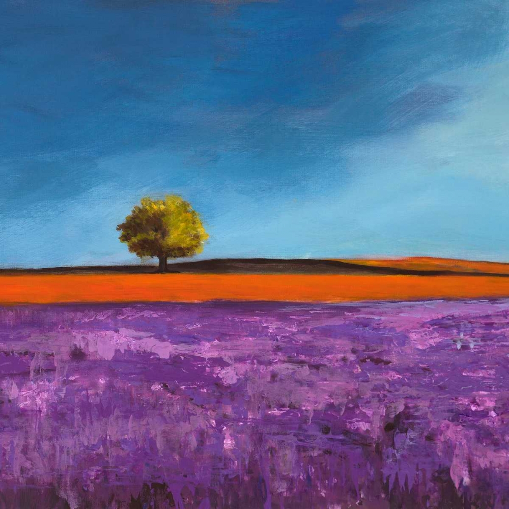 Field of Lavender art print by Philip Bloom for $57.95 CAD