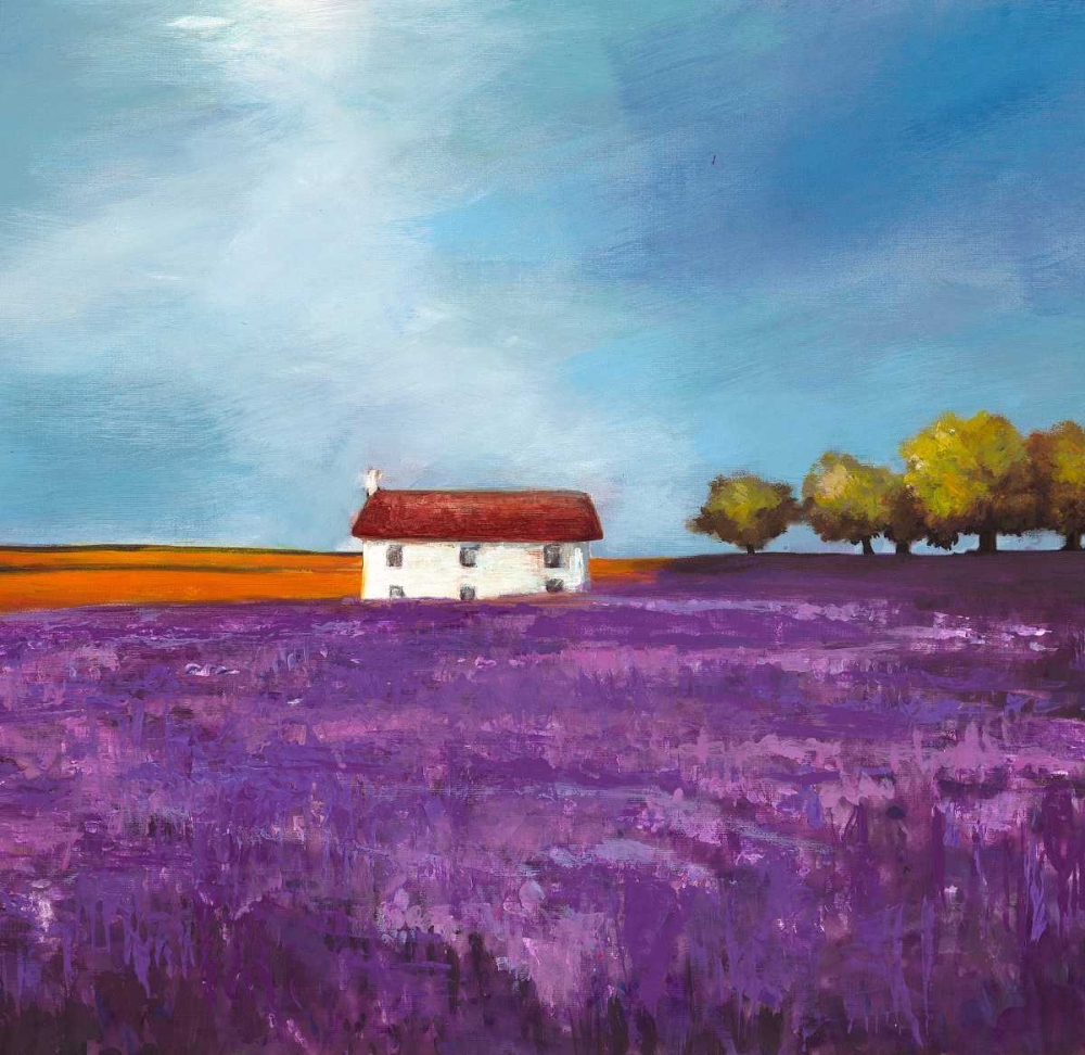 Field of Lavender art print by Philip Bloom for $57.95 CAD