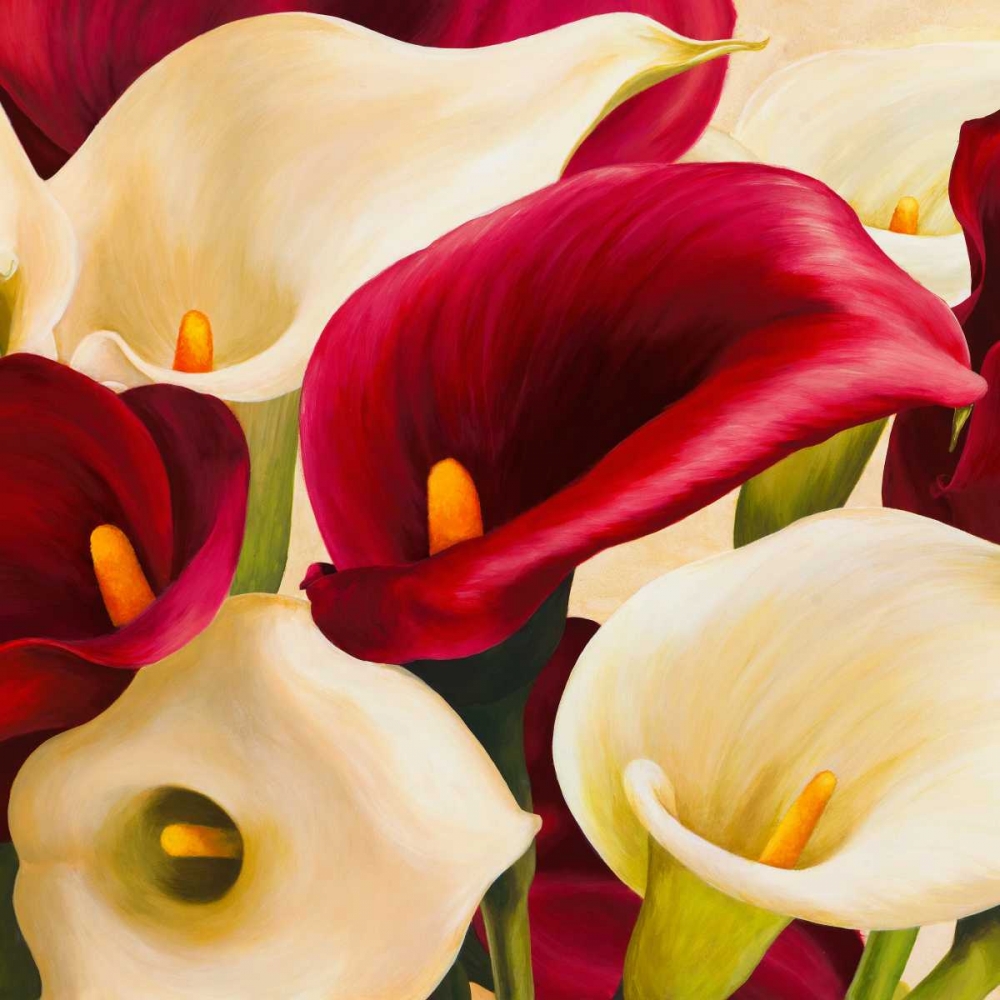 Calla composition art print by Serena Biffi for $57.95 CAD