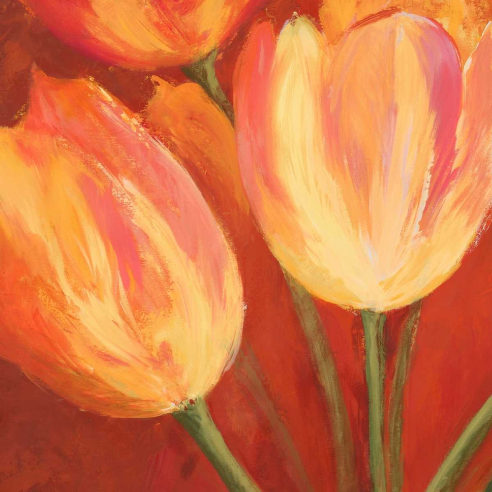 Orange Tulips (detail) art print by Silvia Mei for $57.95 CAD