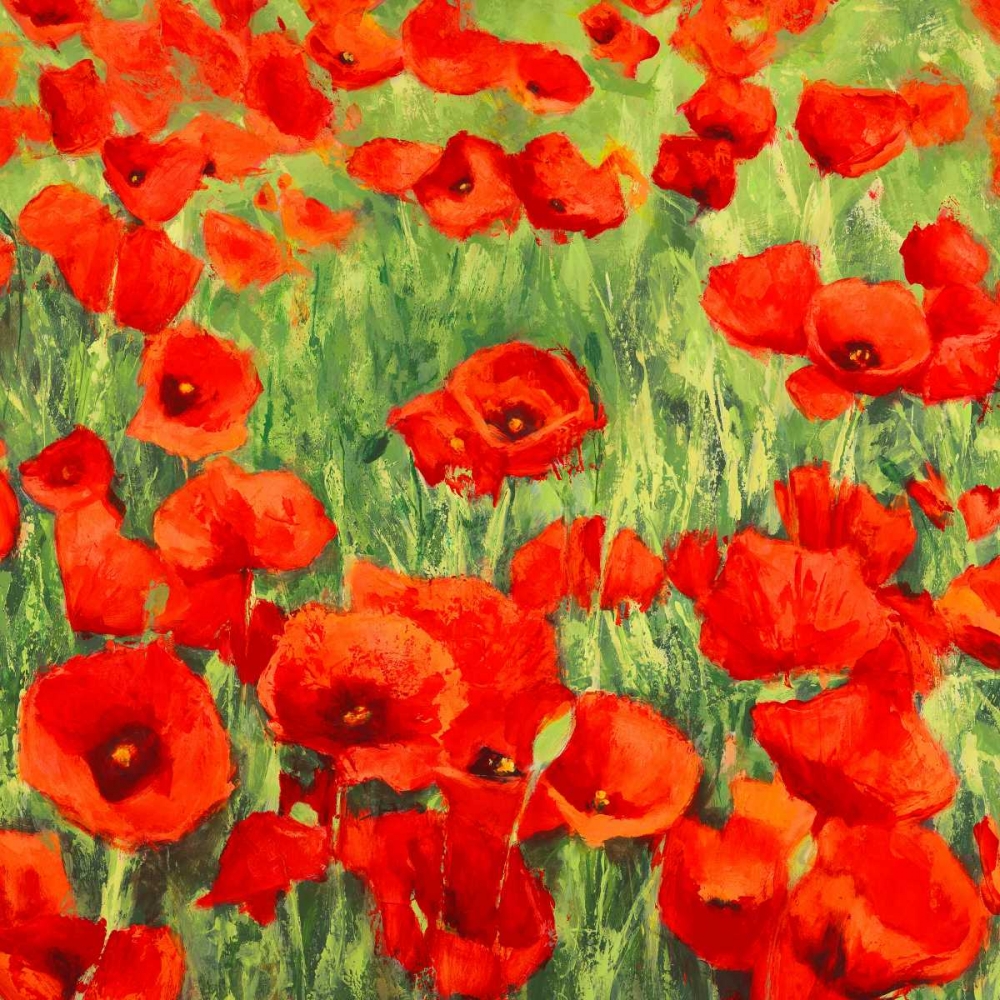 Poppies art print by Silvia Mei for $57.95 CAD