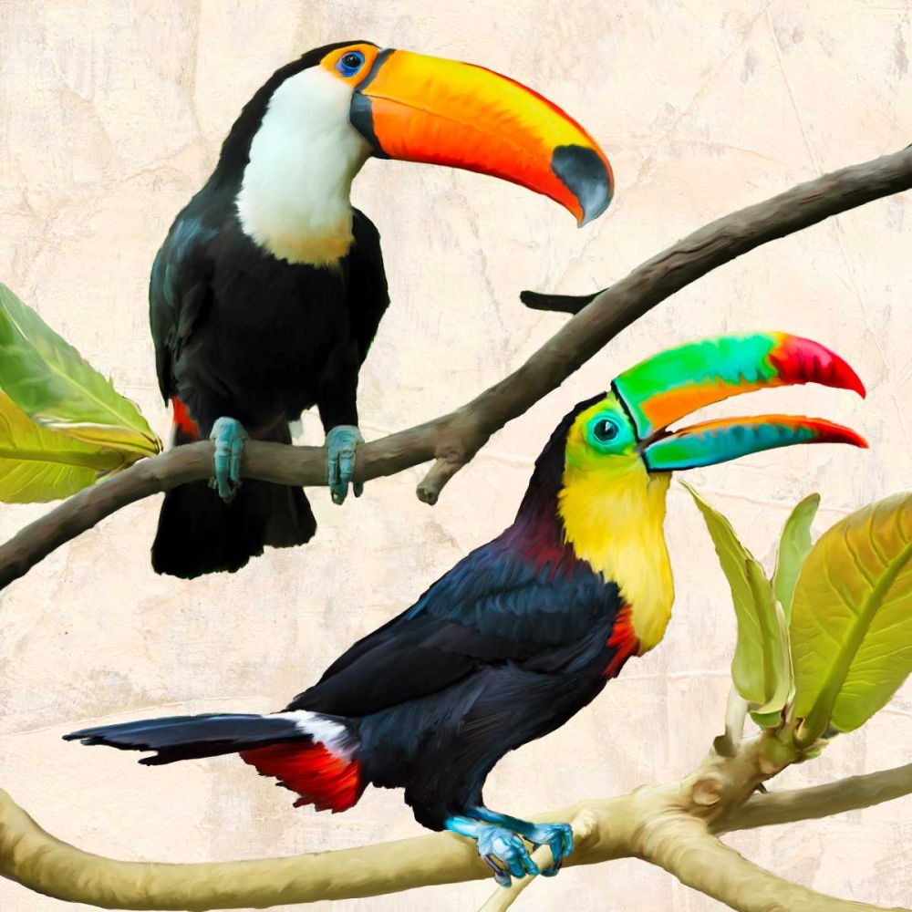Best Friends art print by Teo Rizzardi for $57.95 CAD