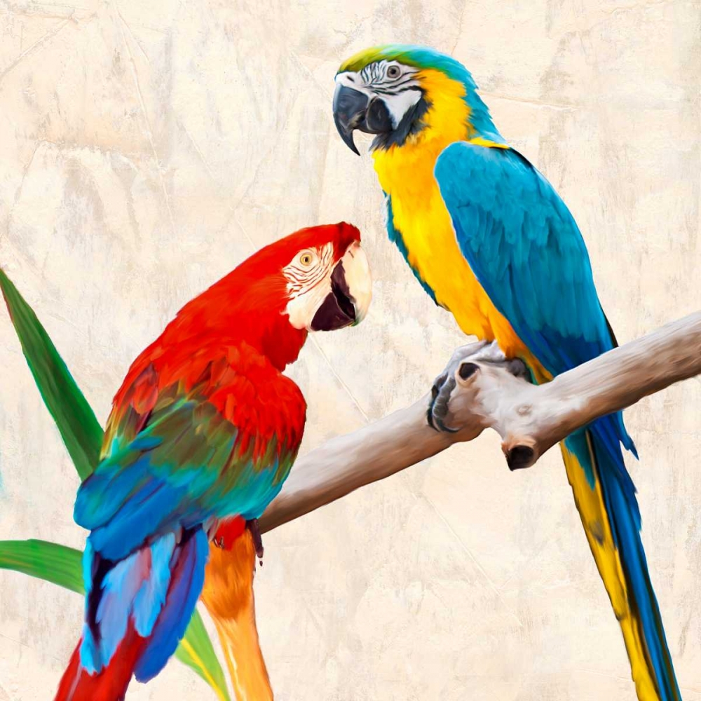Lovers art print by Teo Rizzardi for $57.95 CAD