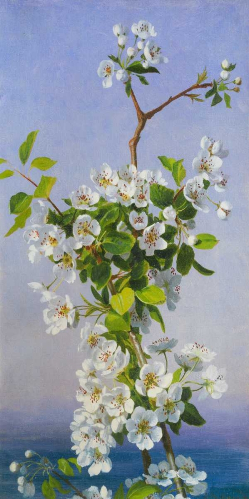 Blossom I art print by Sophie Anderson for $57.95 CAD