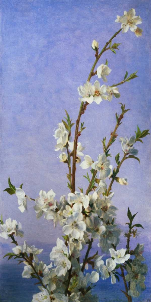 Blossom II art print by Sophie Anderson for $57.95 CAD