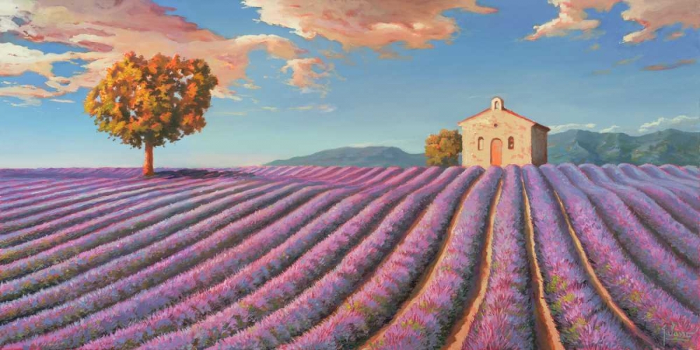 Campi di lavanda art print by Adriano Galasso for $57.95 CAD