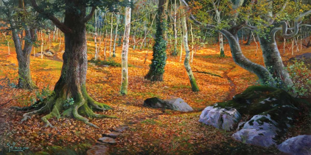 Sottobosco art print by Adriano Galasso for $57.95 CAD