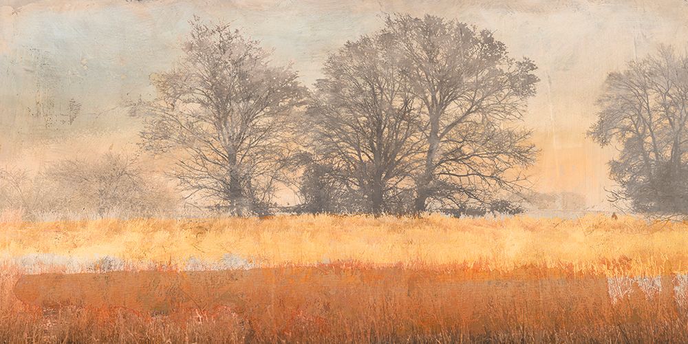 Trees in the Mist art print by Alessio Aprile for $57.95 CAD
