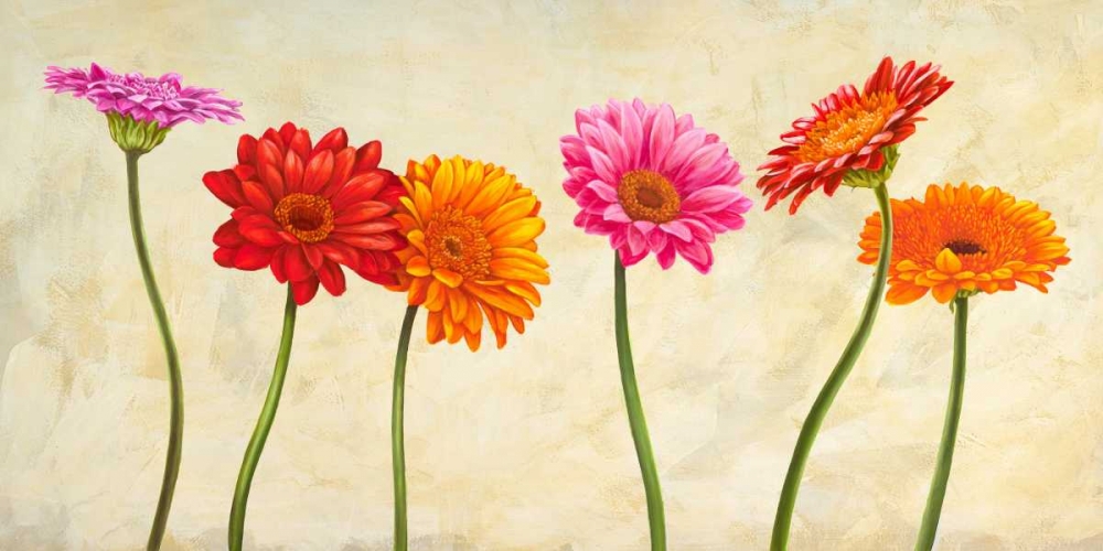 Gerberas art print by Cynthia Ann for $57.95 CAD