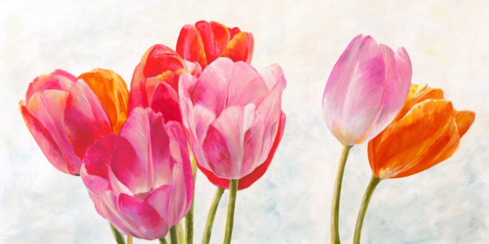 Vive l ete art print by Cynthia Ann for $57.95 CAD