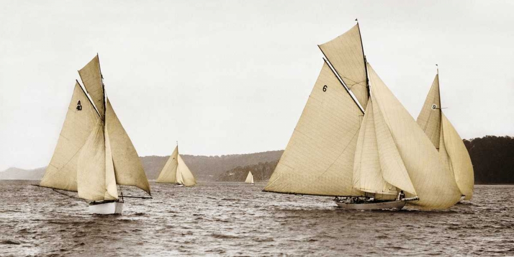 Sloops racing, 1926 art print by Anonymous for $57.95 CAD