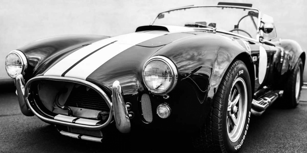 Black Cobra art print by Gasoline Images for $57.95 CAD