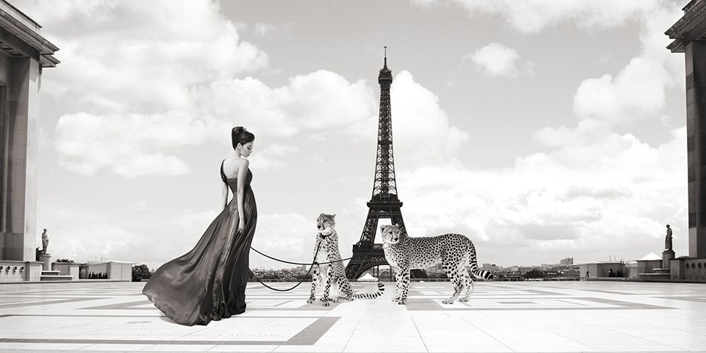 Trocadero View art print by Julian Lauren for $57.95 CAD