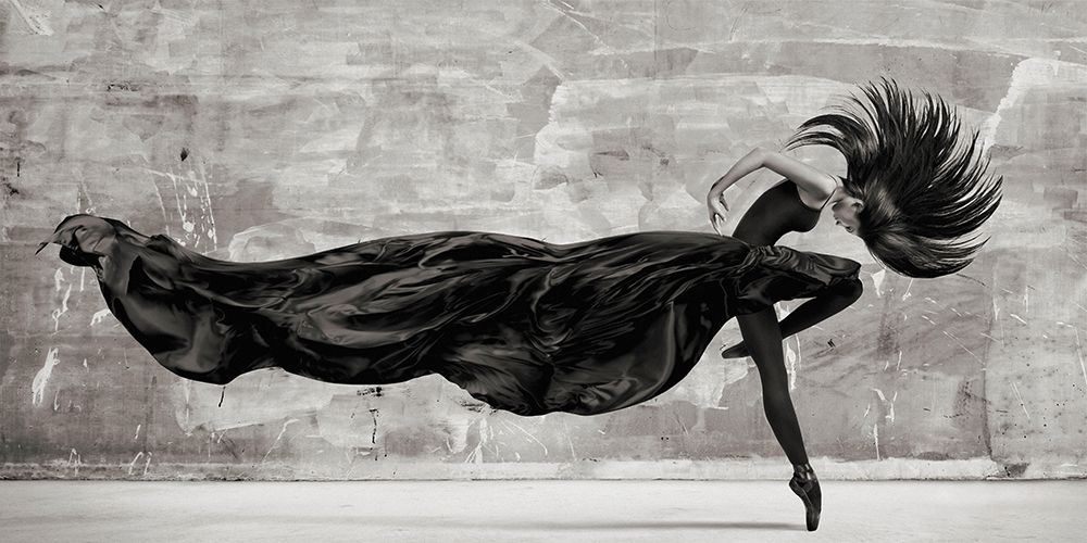 Black Swan art print by Julian Lauren for $57.95 CAD