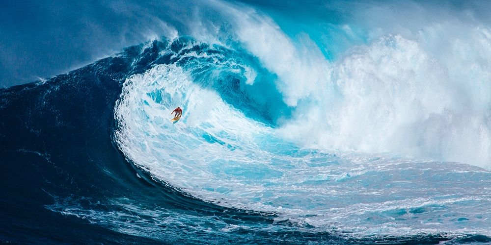 Surfing the big wave, Tasmania (detail) art print by Pangea Images for $57.95 CAD