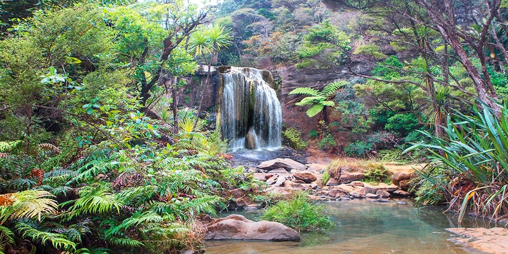 Rainforest waterfall art print by Pangea Images for $57.95 CAD
