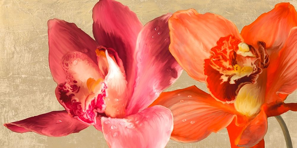 Two Orchids art print by Andrea Antinori for $57.95 CAD