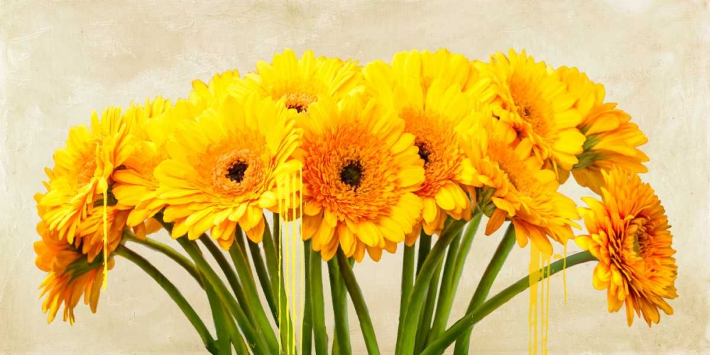 Gerbera Abstraction art print by Alex Vinci for $57.95 CAD