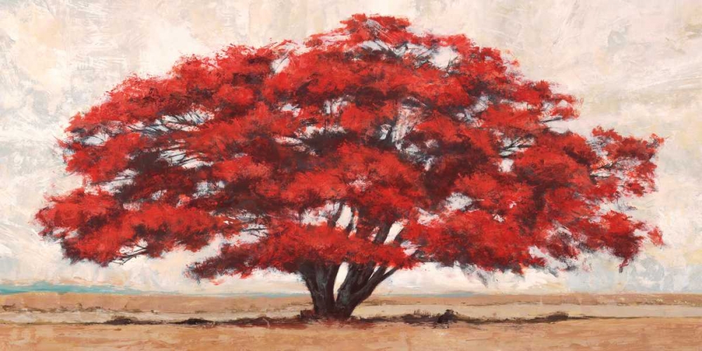 Silva art print by Leonardo Bacci for $57.95 CAD