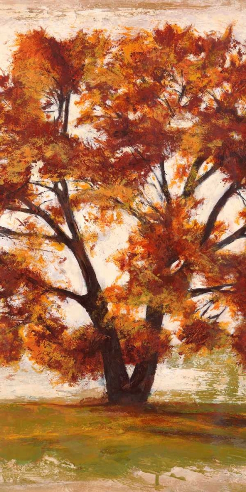 Mattino II art print by Leonardo Bacci for $57.95 CAD
