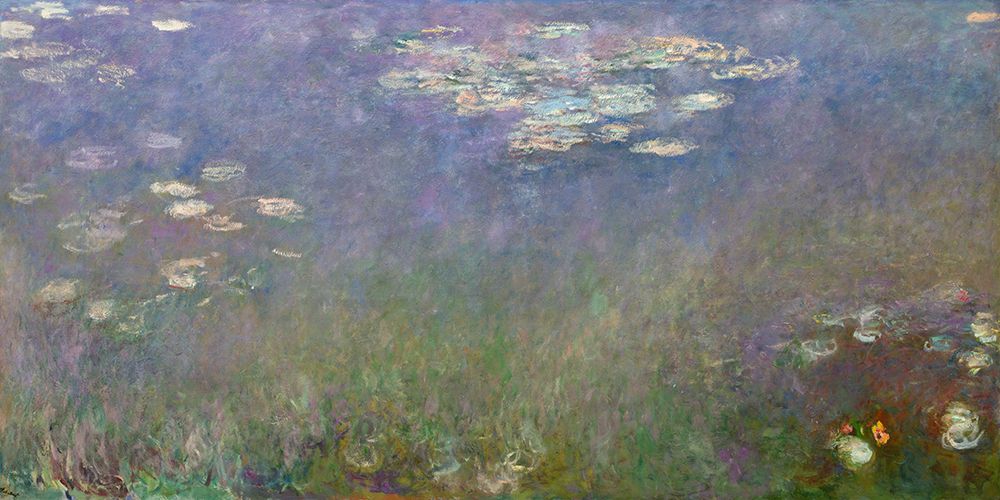 Water Lilies (Agapanthus) art print by Claude Monet for $57.95 CAD