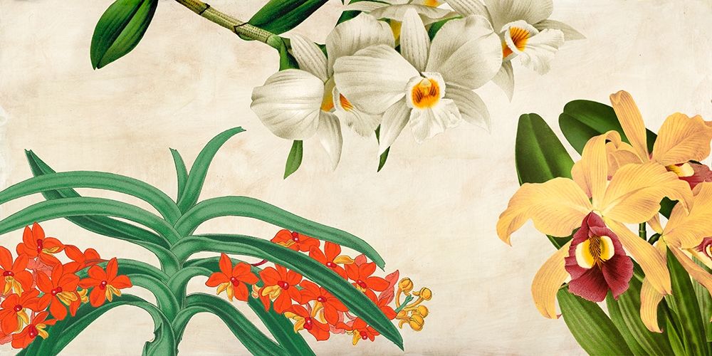 Panneau Botanique III art print by Remy Dellal for $57.95 CAD