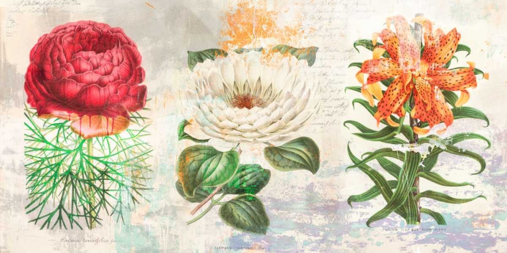 Hortus Botanicus 2.0 art print by Eric Chestier for $57.95 CAD