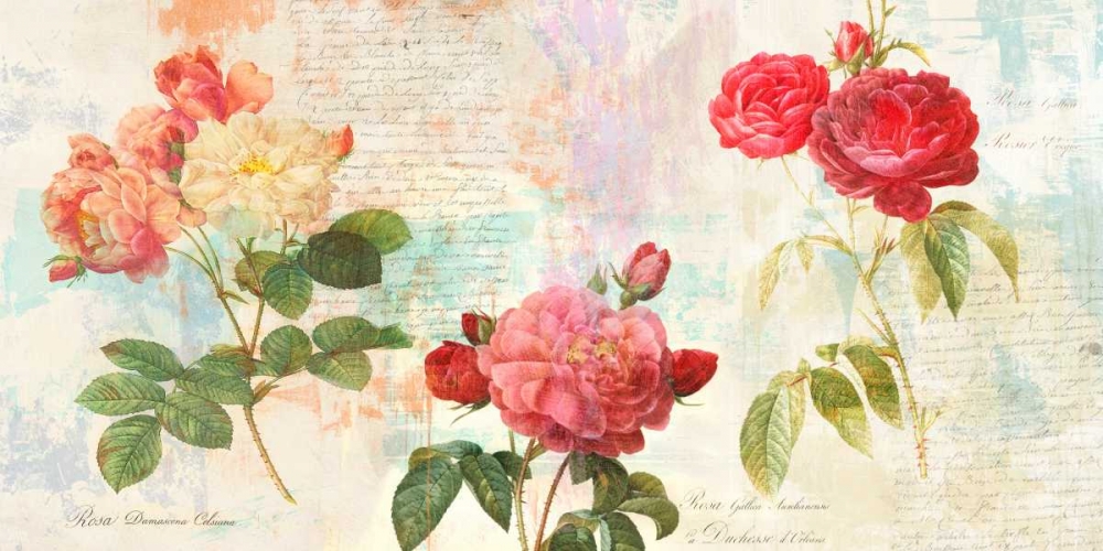 Redoutes Roses 2.0 art print by Eric Chestier for $57.95 CAD