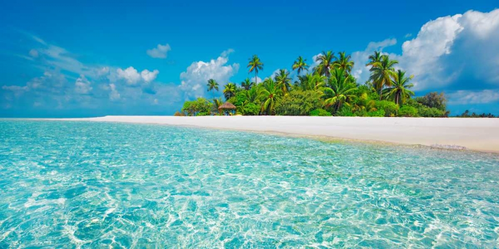 Palm island, Maldives art print by Frank Krahmer for $57.95 CAD