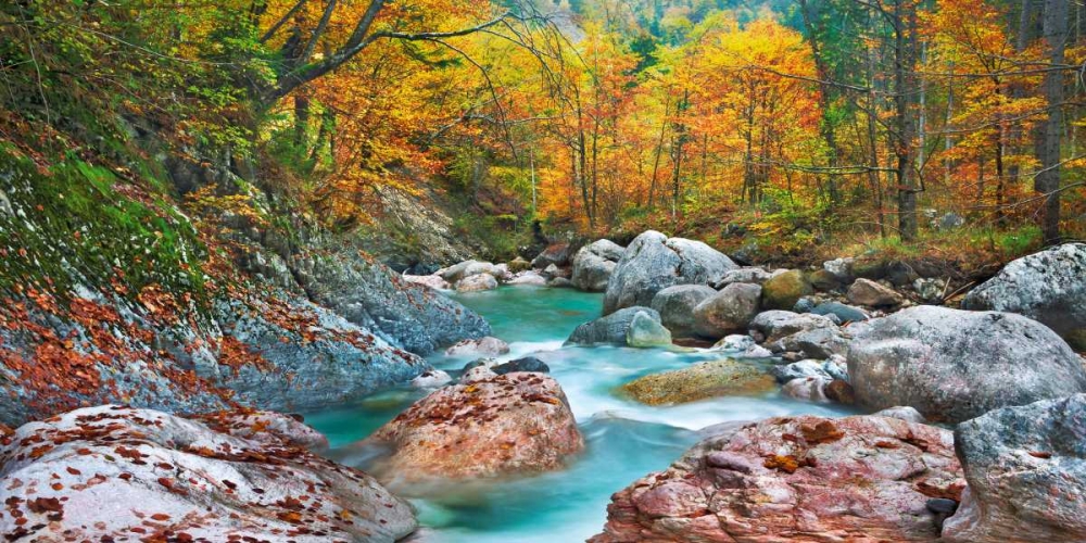 Mountain brook and rocks, Carinthia, Austria art print by Frank Krahmer for $57.95 CAD