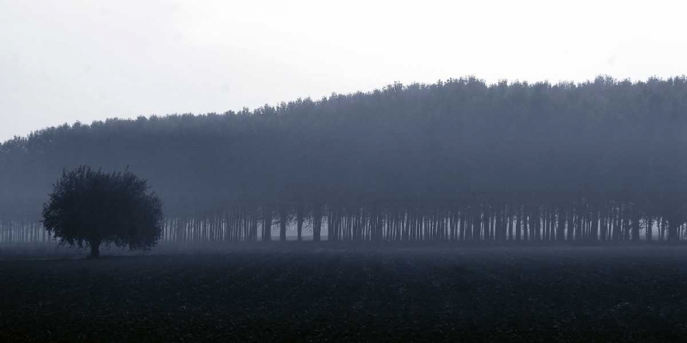 Sinfonia d autunno art print by Fulvio Ferrua for $57.95 CAD