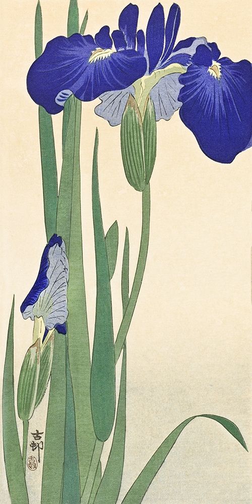 Irises art print by Ohara Koson for $57.95 CAD