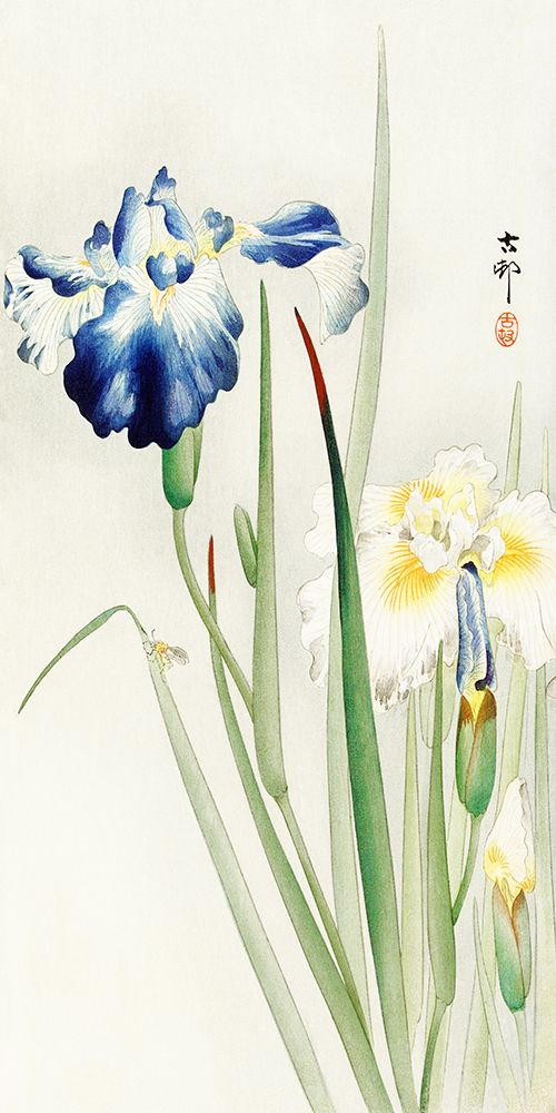 Irises art print by Ohara Koson for $57.95 CAD