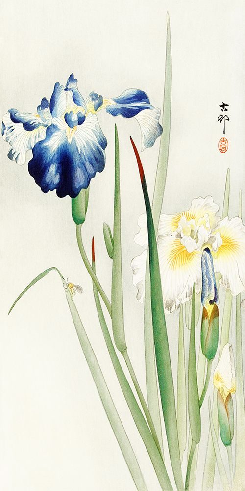 Irises art print by Ohara Koson for $57.95 CAD