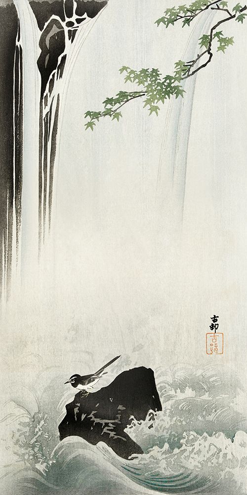 Japanese Wagtail at Waterfall art print by Ohara Koson for $57.95 CAD