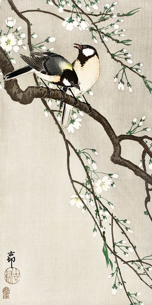 Tits on Cherry Branch art print by Ohara Koson for $57.95 CAD