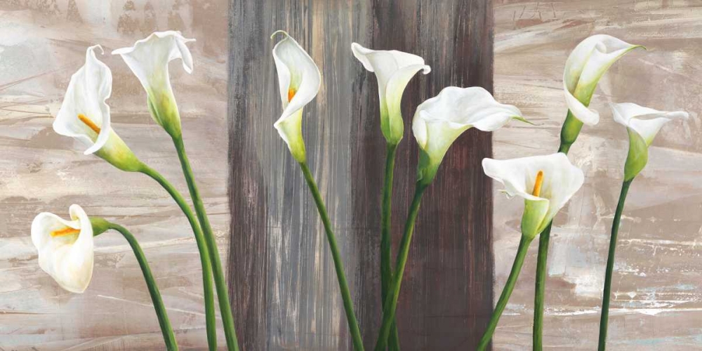 Country Callas art print by Jenny Thomlinson for $57.95 CAD