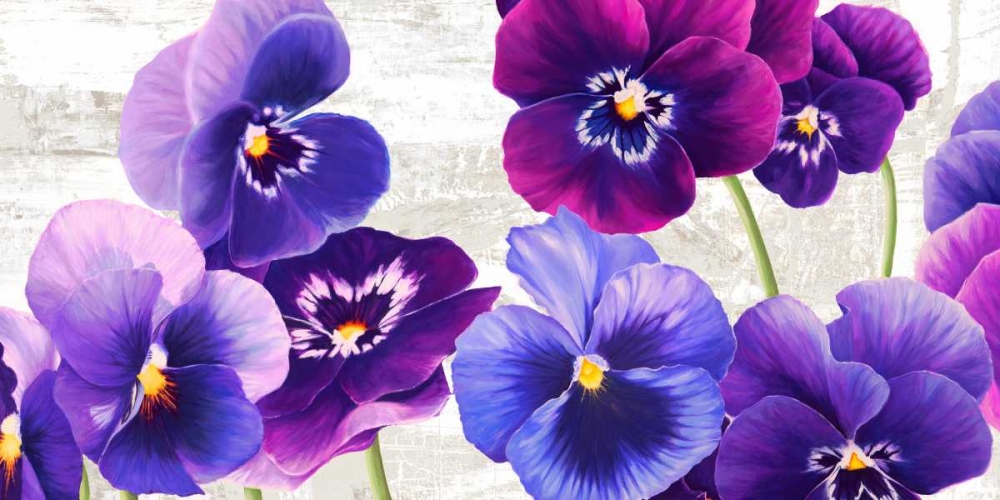 Dance of Pansies art print by Jenny Thomlinson for $57.95 CAD