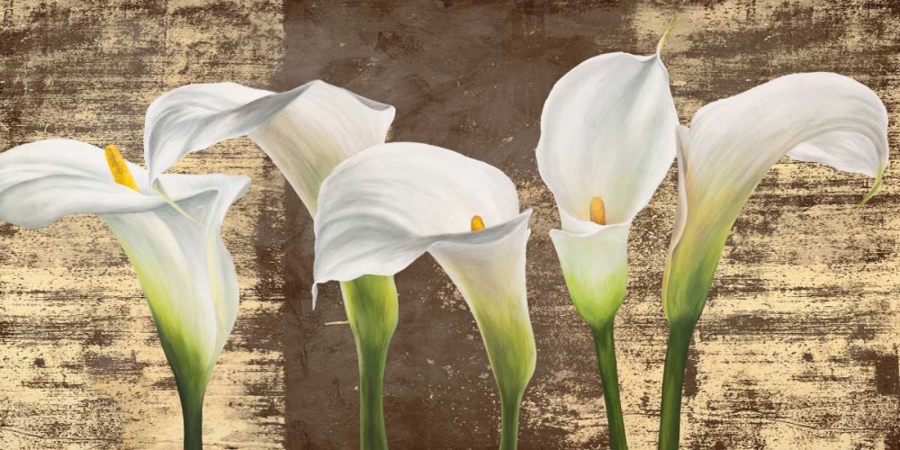 Callas on Gold (mocca variation) art print by Jenny Thomlinson for $57.95 CAD