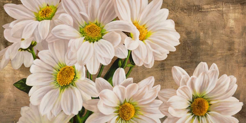 Daisies in the Moonlight art print by Jenny Thomlinson for $57.95 CAD